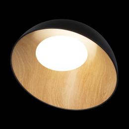 Потолочный светодиодный светильник Loft IT Egg 10197/500 Black  - 4 купить